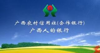 廣西農(nóng)村信用社理事長(zhǎng)韋家干、主任李燕、唐誠(chéng)希、歐澤馨等領(lǐng)導(dǎo)班子