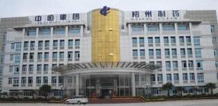 中恒集團董事長焦明簡歷，歐陽靜波簡歷，中恒集團是國企嗎