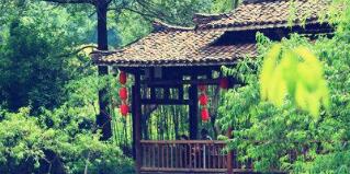 廣西廣投文化旅游公司梅以軍簡歷，廣西廣投文旅和廣西投資集團啥關(guān)系？