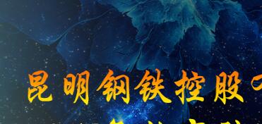 昆鋼集團王素琳簡歷，馬德、陳清泉、王存璘、蘇玲翠、王云萍、錢永祥、孫小躍、官德海、高冰、杜陸軍、趙永平領(lǐng)導(dǎo)班子