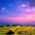 廣西財經(jīng)學院教務(wù)管理系統(tǒng)